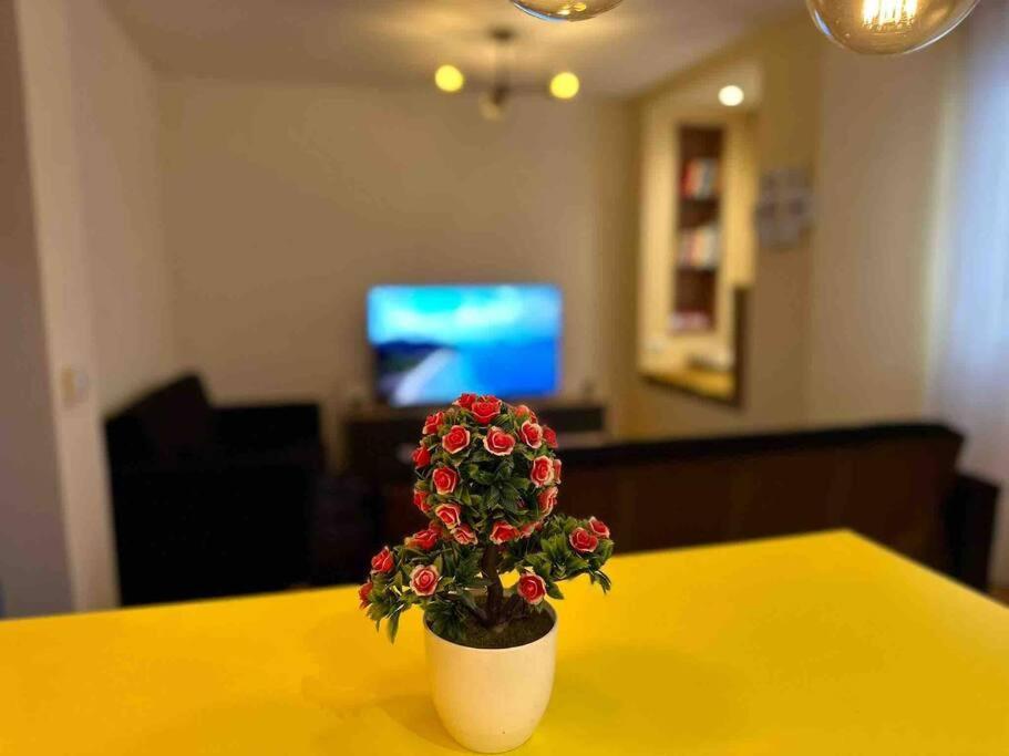 Ora-Prn,Peaceful Central Apartment 普里什蒂纳 外观 照片